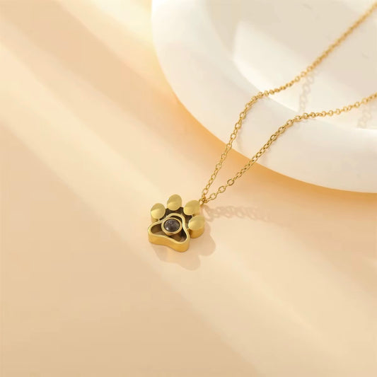 Collar Mascota - Acero inoxidable